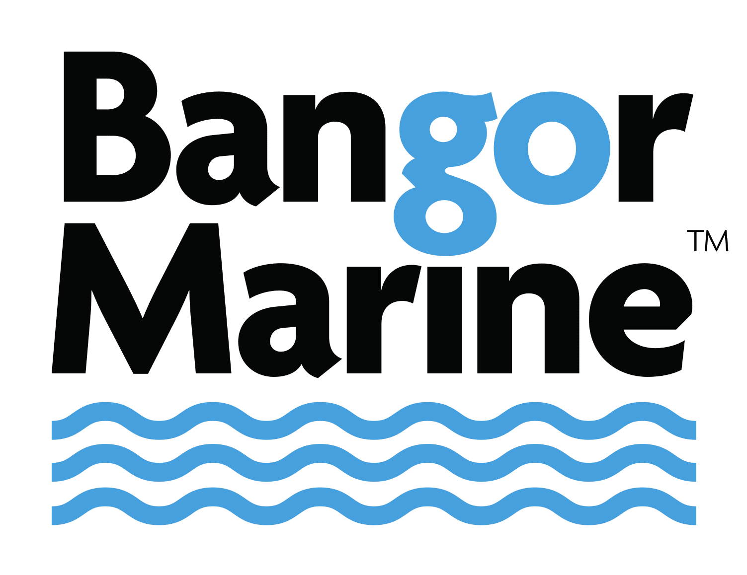 bangor marine
