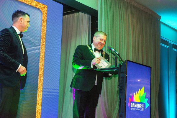 Copy of Awards-13